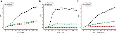 Transcriptional Regulation of the Creatine Utilization Genes of Corynebacterium glutamicum ATCC 14067 by AmtR, a Central Nitrogen Regulator